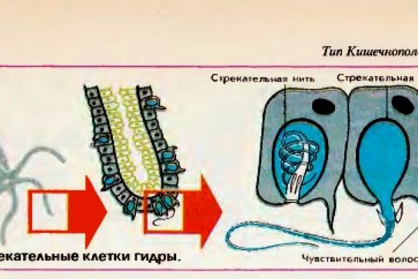 Как войти в кракен через тор